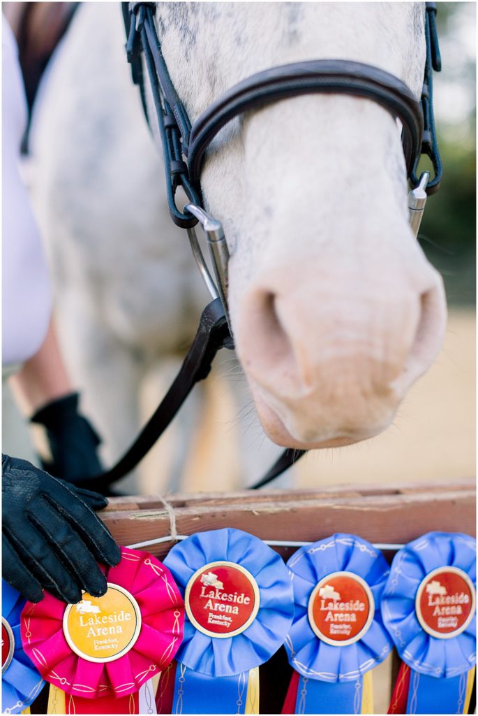 equestrian portrait session ribbons pony nose