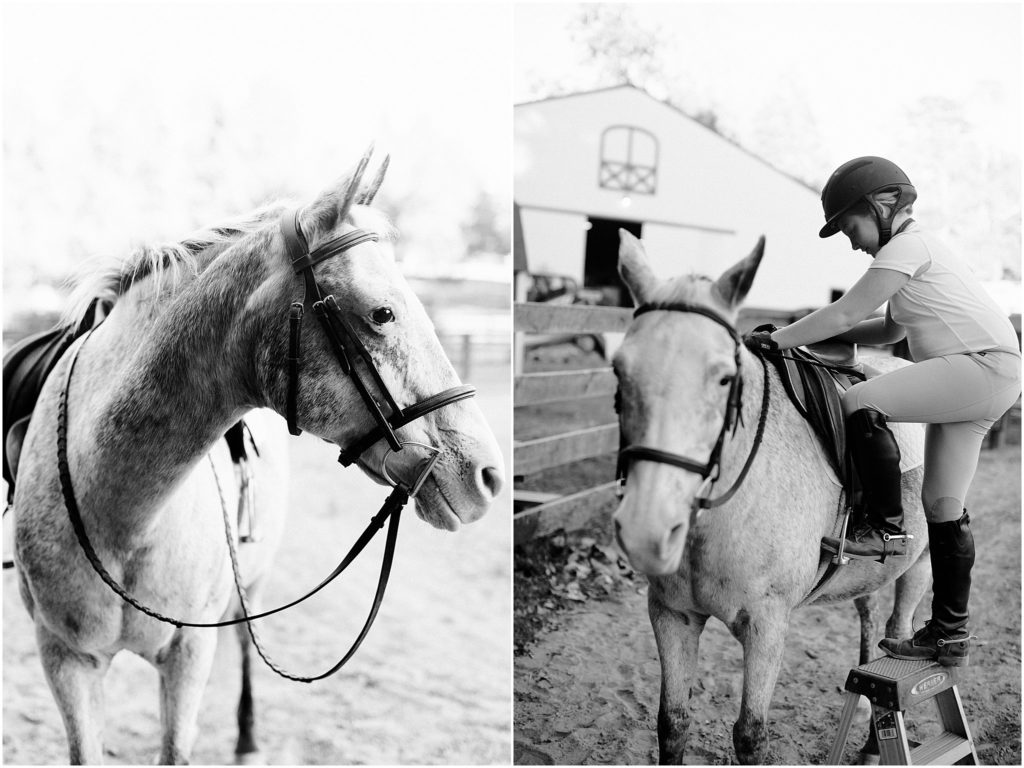equestrian portrait session ribbons pony